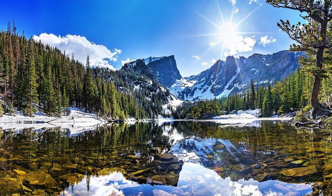 winter landscape