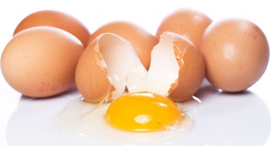 broken egg