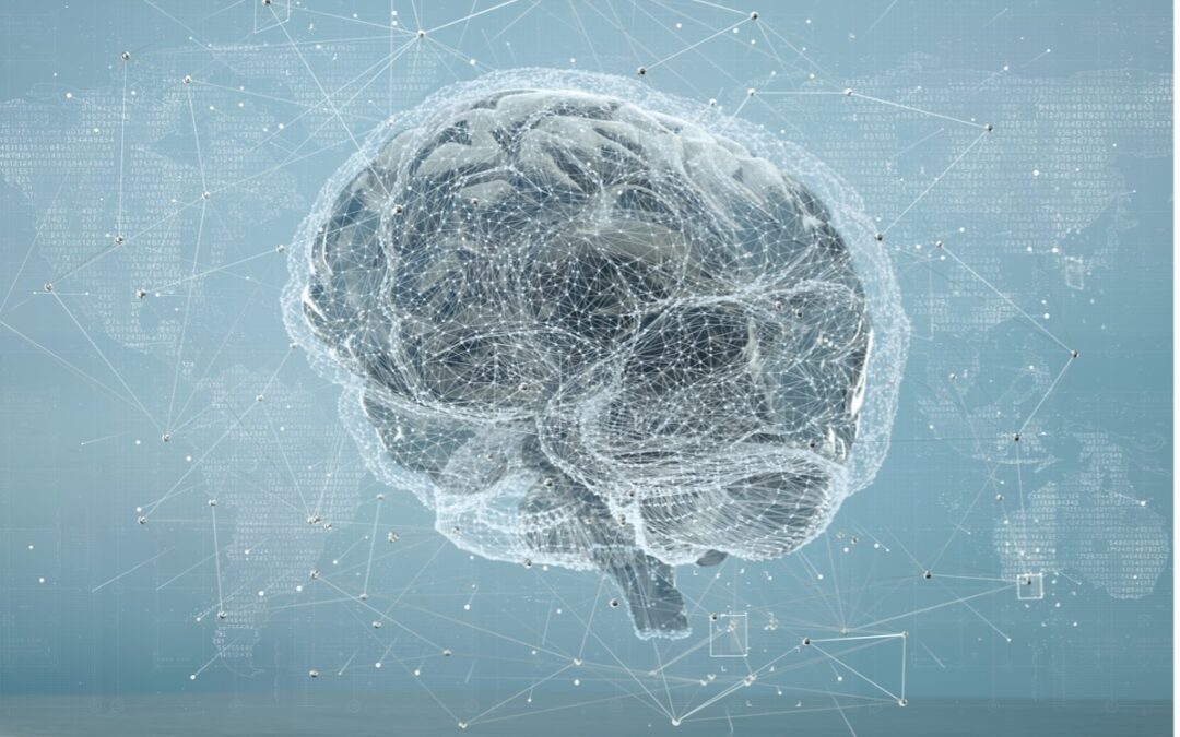 brain with computer connections