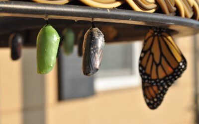 7 Tips on How to Get People To Change