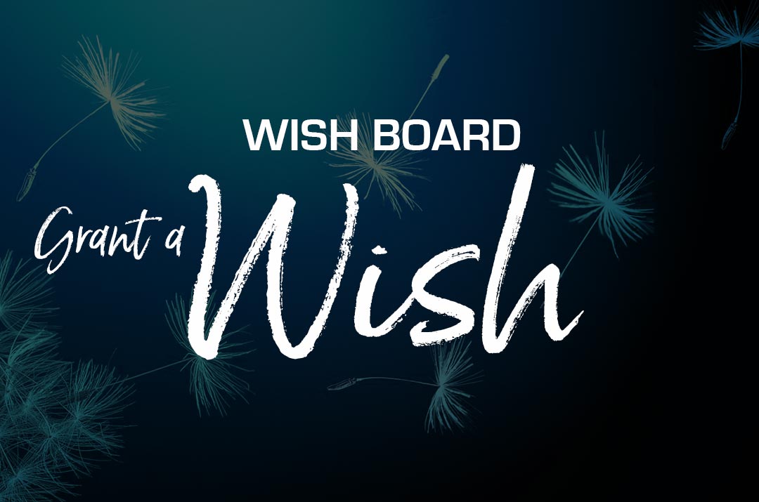 Business Fairy Godmother Wish Board