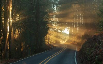 Going Lean, Part 4: Finding Long-Term Lean Success