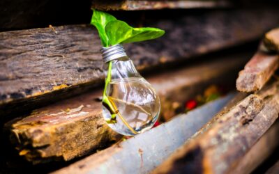 Nurturing Innovation Through Psychological Safety: A Journey with Conversation Frameworks