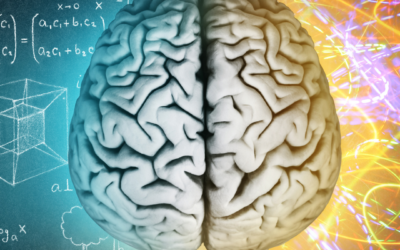 From Struggle to Science: How Understanding the Brain Changed My Life — and Can Transform Yours Too