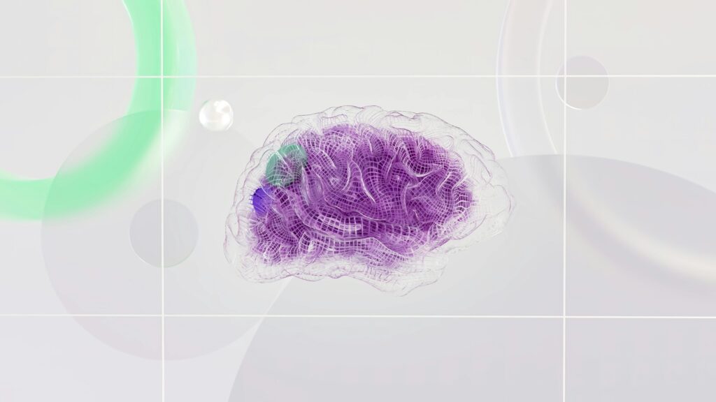 The Brain